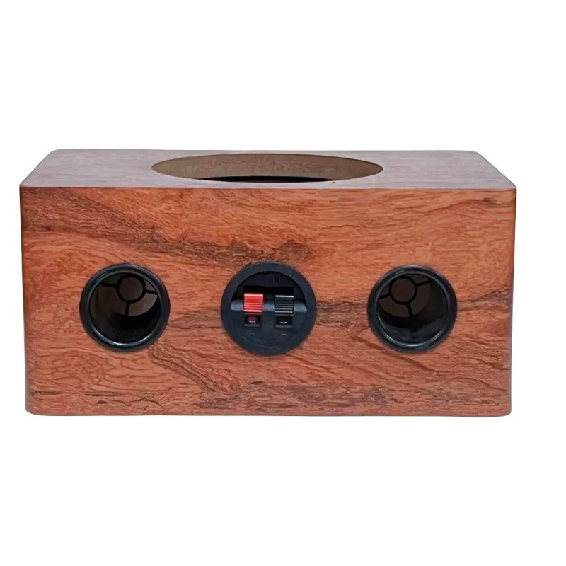Musical Instrument Family - Großer 10-Zoll (23,5 cm) ultradünner Deckenlautsprecher,
