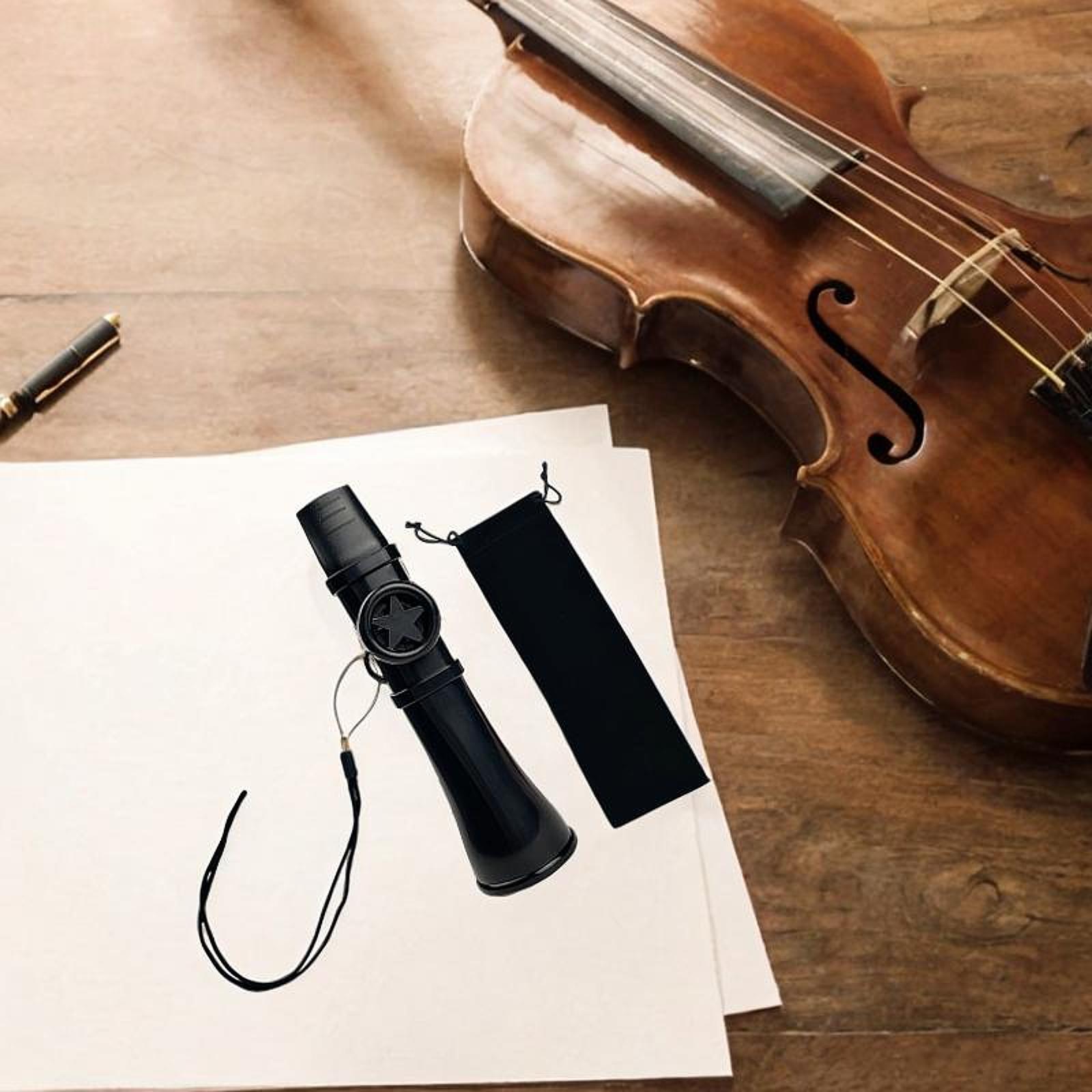 Musical Instrument Project - Musikinstrument Kazoo Flöte Tragbar ABS-Material Aufbewahrungstasche