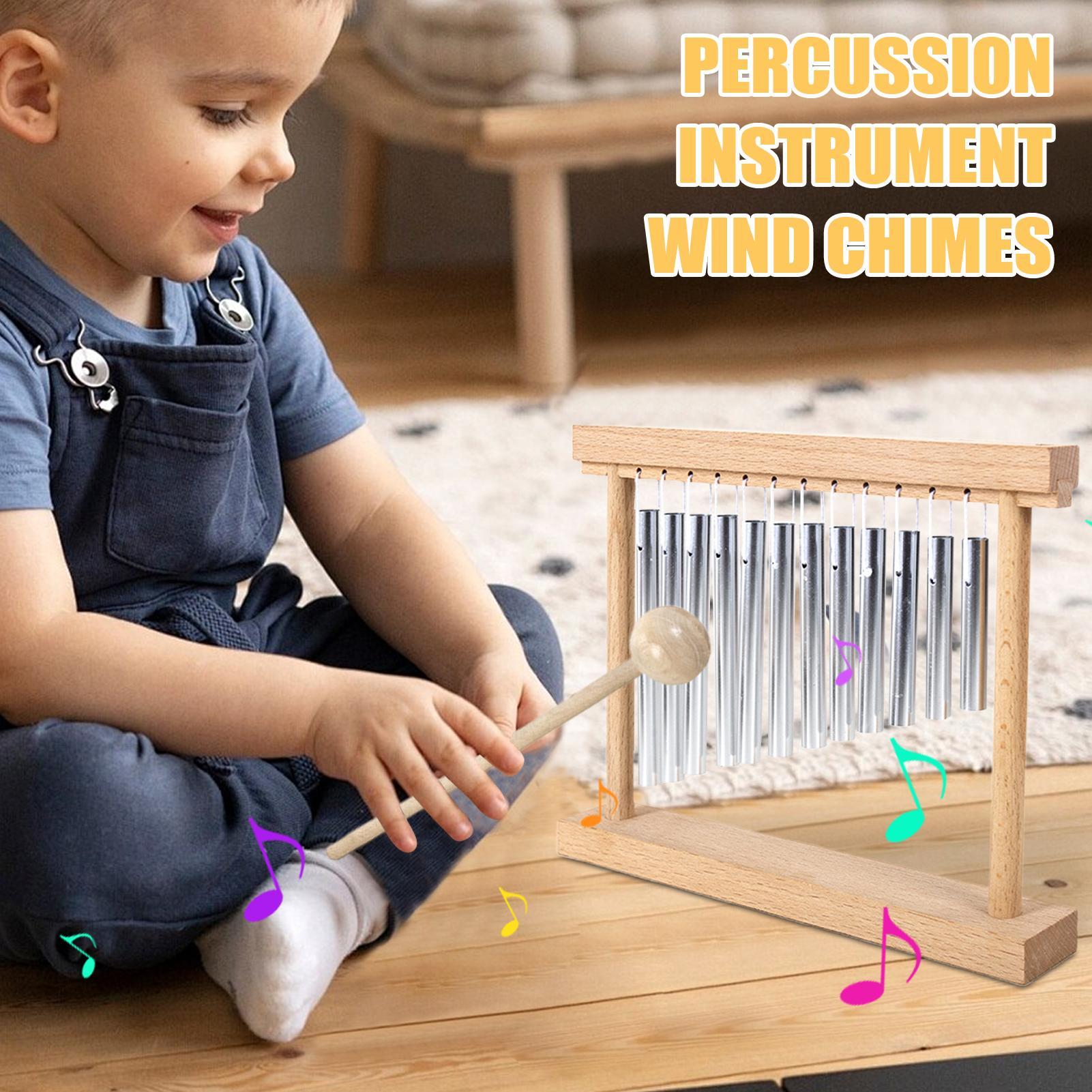 Musikinstrumente, pädagogische – Musical Instrument Family Bewertung und Preis