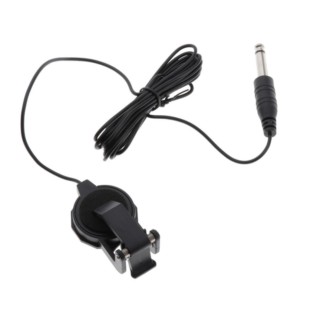 Elektroakustischer Passiver To – Musical Instruments Easy Bewertung und Preis