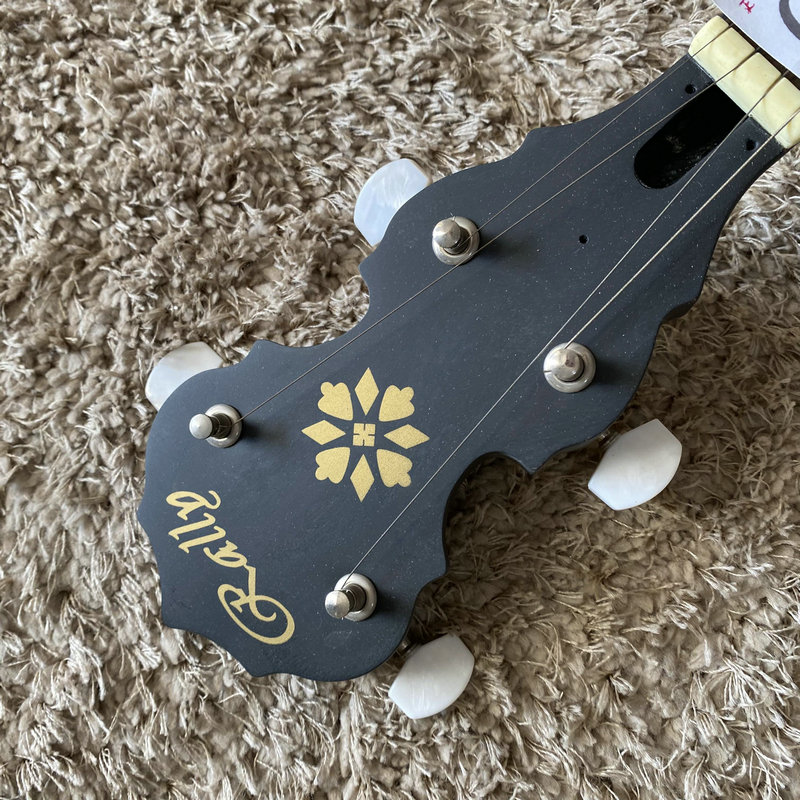 G066 Korea Rally Banjo-Gitarre – Banjo 5 String Open Bewertung und Preis